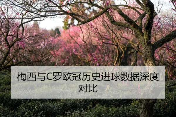 梅西与C罗欧冠历史进球数据深度对比