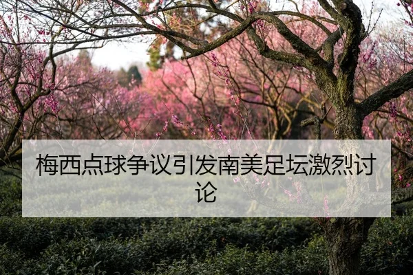 梅西点球争议引发南美足坛激烈讨论